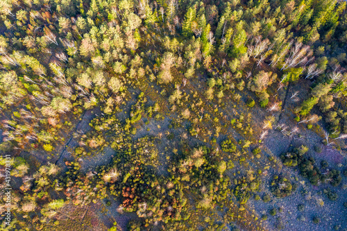 Germany, Bavaria, Konigsdorf, Aerial view of forest photo