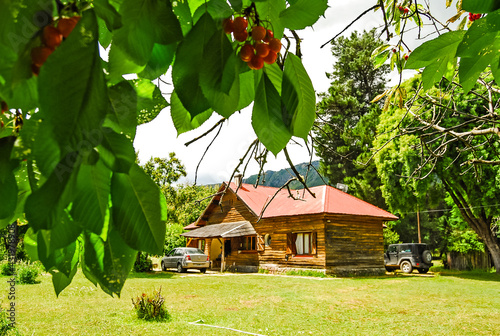wooden cottage house in green 