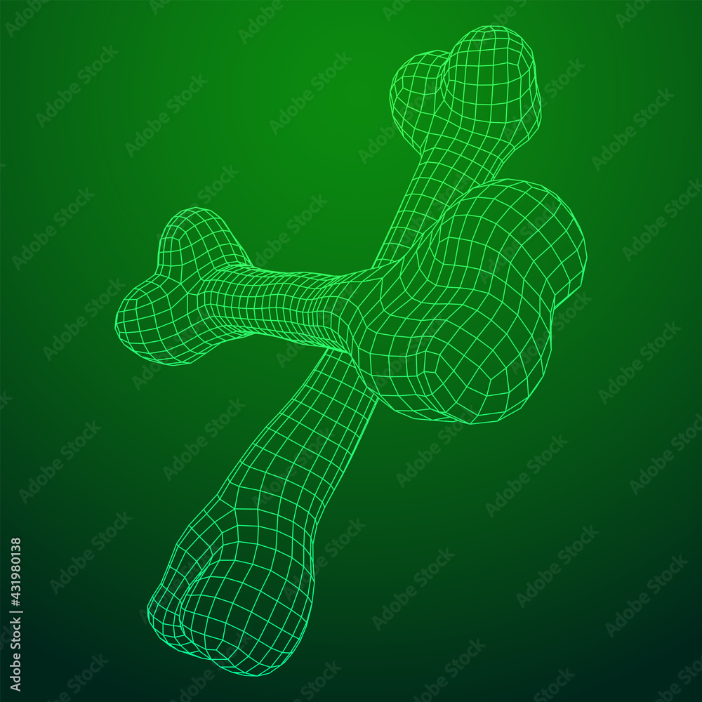 Anatomy Dog Bone object. Wireframe low poly mesh vector illustration Anatomy Dog Bone object. Wireframe low poly mesh vector illustration