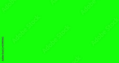 photo Camera takes a picture with flash, flat style 2d animation. 4K Stock video, green screen background, alpha channel.  Seamless motion animated footage, Cartoon camera icon, Motion Graphics Loop