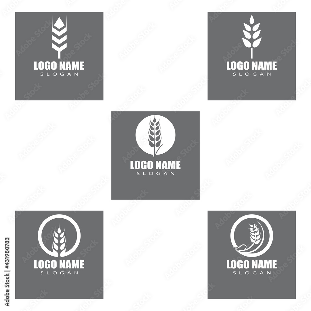 Agriculture wheat vector icon design Agriculture wheat vector icon design