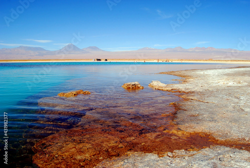 atacama desert chile lagoon