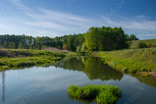 Fototapeta Naklejka Na Ścianę i Meble -  The spring landscape of the forest on the river bank and the blue sky with reflection in the water.