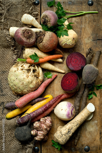 Winter vegetables on rustic wooden background photo