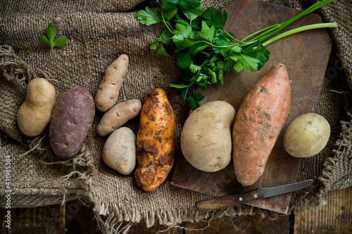 Different types of potatoes: Glorietta, purple sweet potato, Agria, Annabelle, Bamberger Hoerndl, Gala on rustic fabric background photo