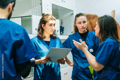 Female nurse gesturing while discussing with veterinarian colleagues in hospital photo