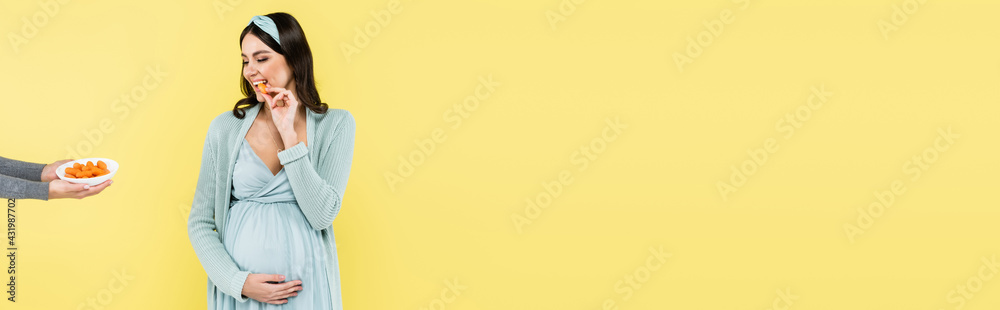 pleased pregnant woman touching belly while eating fresh carrot isolated on yellow, banner. pleased pregnant woman touching belly while eating fresh carrot isolated on yellow, banner.