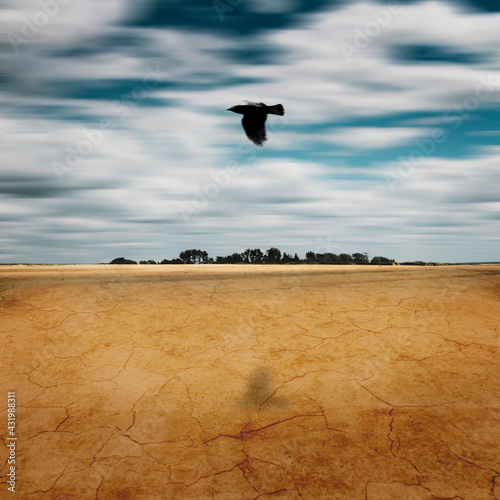 Bird flying over land against sky photo