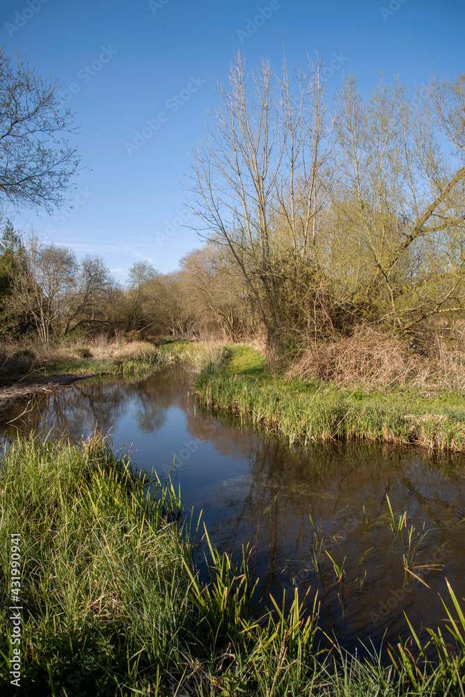 Hampshire, England, UK. 2021. The River Test close to Stockbridge in rural Hampshire. A world famous chalk stream known for fly fishing. Hampshire, England, UK. 2021. The River Test close to Stockbridge in rural Hampshire. A world famous chalk stream known for fly fishing.