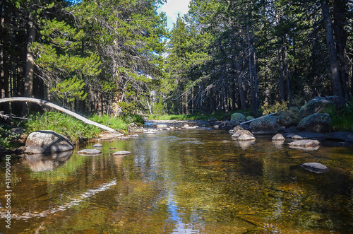  Yosemite-  National Park photo