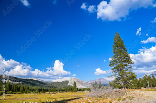  Yosemite-  National Park photo