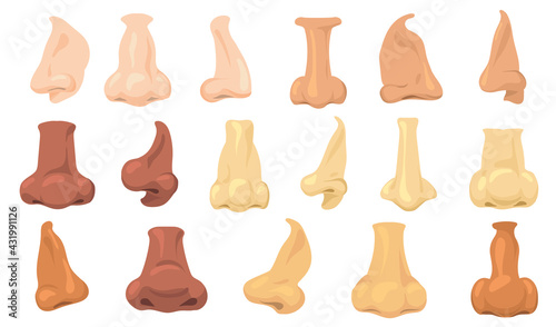 Cartoon human noses vector illustrations set. Different types of male nasal shapes by race isolated on white background. Anatomy, rhinoplasty, surgery concept