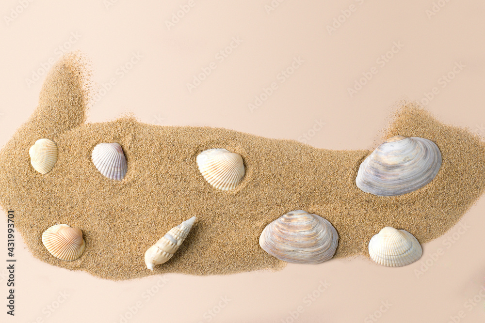 Summer beach concept with sea shells on the sand.