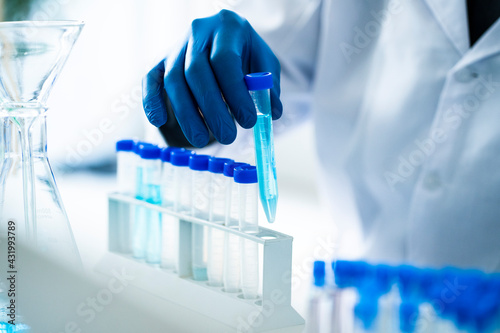 Scientist arranging test tube in rack while working in laboratory