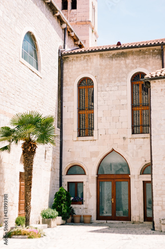 Glass doors and windows in the Monastery of St. Franz in Sibenik against the background of blue sky and green palm tree © Nadtochiy
