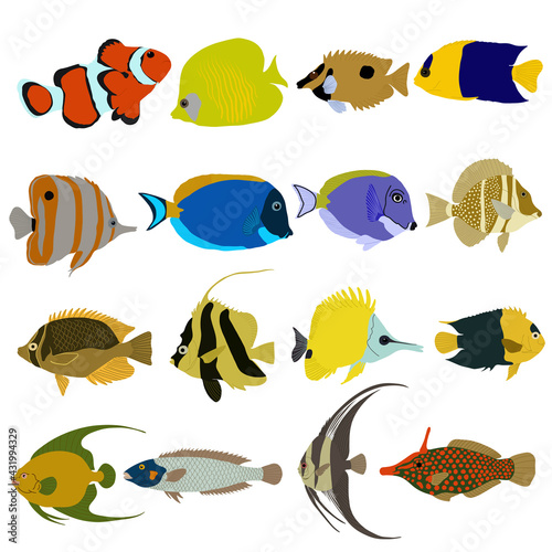 Set of sea fish. Vector illustration.
