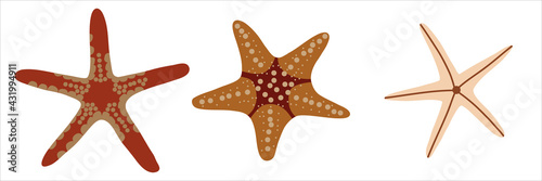 Set of starfishes. Vector illustration. 
