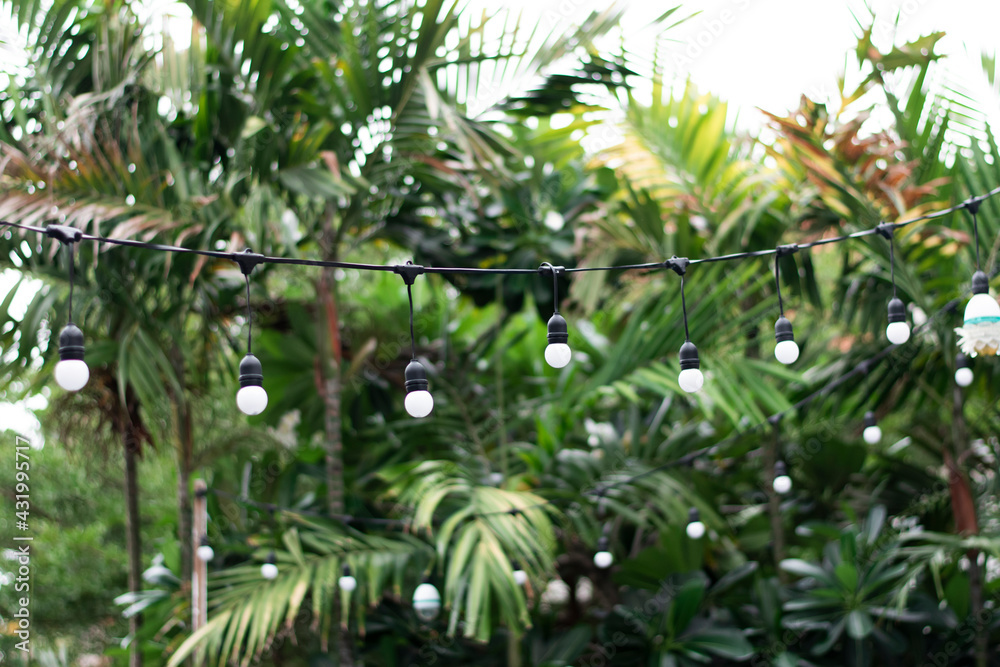 Decorative lights or ping-pong bulbs, which are arranged between the trees. Decorative lights or ping-pong bulbs, which are arranged between the trees.