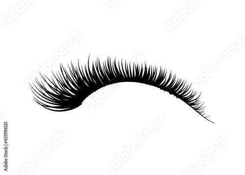 Black detailed realistic beautiful eyelashes, fashion element on white
