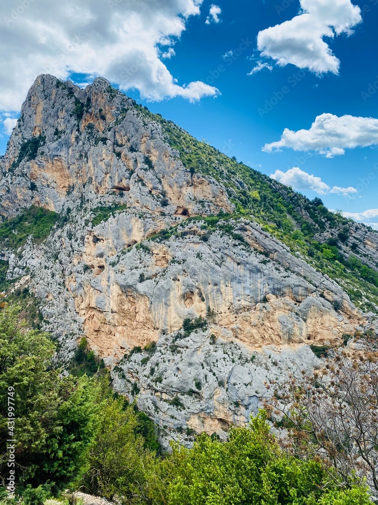 sauvage  végétation vegetation grés rocaille calcaire gorge montagne oxydation patine