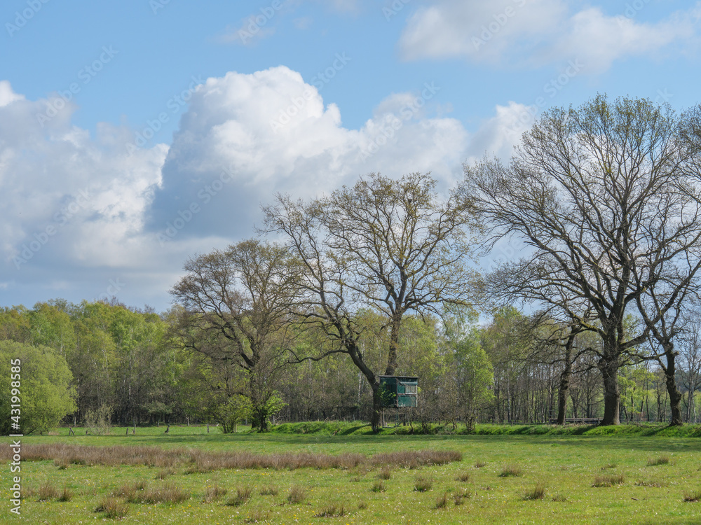 Die Dingdener Heide am Niederrhein Die Dingdener Heide am Niederrhein