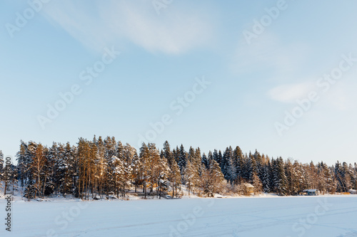 Wallpaper Mural frozen lake with snow and winter forest, blue sky background Torontodigital.ca