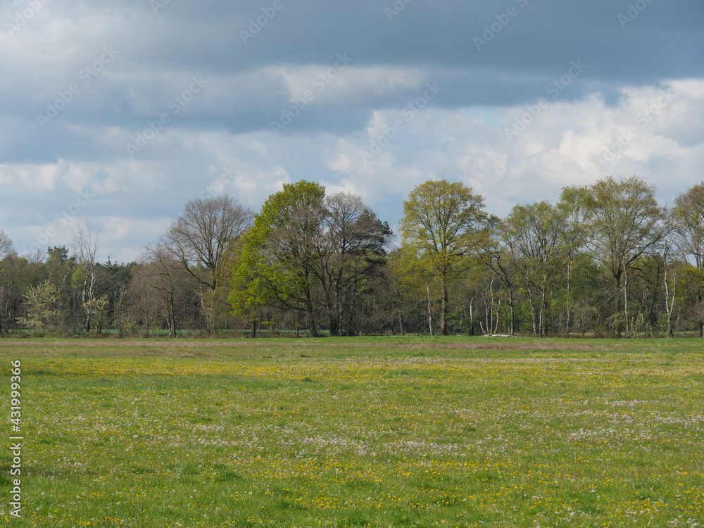 Die Dingdener Heide am Niederrhein