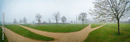 Panorama of the city park with green lawns