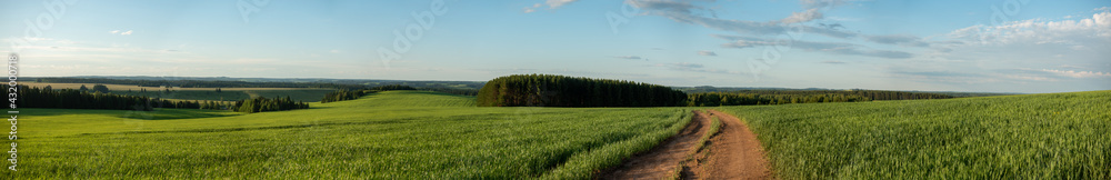 Panorama of a green field and sky. Sunny summer landscape of a European village