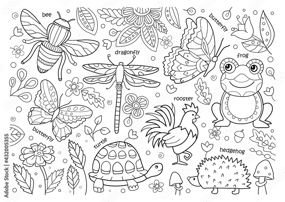 Coloring Books For Boys: Wild Animals: Advanced Coloring Pages for