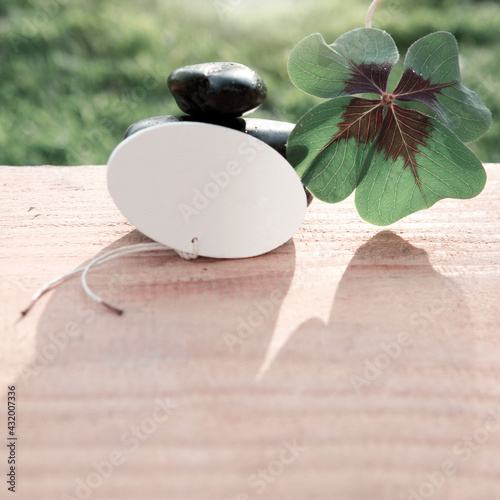 Black spa stones and four leaf clover . Spa background.