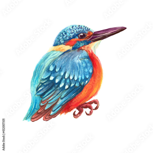 Watercolor colorful wild bird. White background.