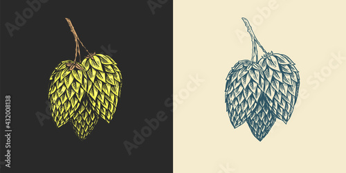 Hops and Barley. Malt Beer. Engraved vintage set. Hand drawn collection. Sketch for web or pub menu. Design elements isolated on white background.