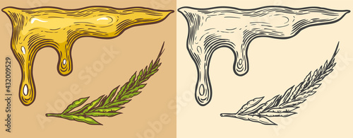 Dripping Mustard or Spicy sauce. Splashing liquid. Hot condiment. Illustration for Vintage background or poster. Engraved hand drawn sketch.