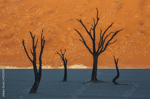 Dead trees and sand dunes at sunset Dead Vlei, Namibia. photo