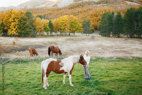 Woman feeds a brown and white horse in the autumn forest. Brown horses graze on the lawn
