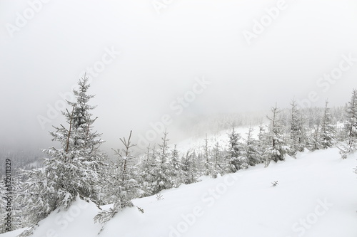 Beautiful winter landscape with snow covered trees in Czech Republic