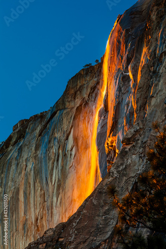 Yosemite National Park. Horsetail Falls lit from behind by the setting sun, creating the famed Firefall. photo