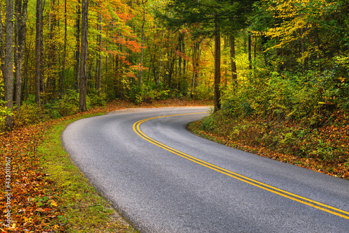 Vibrant fall foliage lines the road along the Little River, Smoky Mountains.