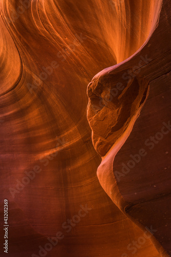 The sandstone of a remote Arizona slot canyon glows in warm reflected light. photo