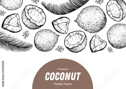 Coconut design template. Hand drawn vector. Food illustration Engraved style. Vector botanical illustration, tropical background.