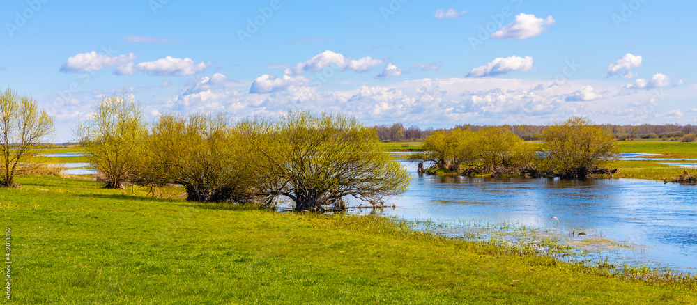 Early spring view of Biebrza river valley wetlands and nature reserve in Wierciszewo village in Podlaskie voivodship in Poland Early spring view of Biebrza river valley wetlands and nature reserve in Wierciszewo village in Podlaskie voivodship in Poland