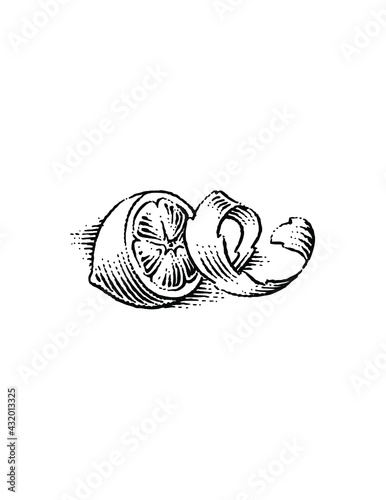 illustration of lemon peel