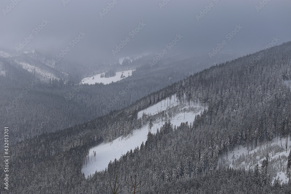 Fototapeta premium Beautiful winter landscape with snow covered trees in Czech Republic