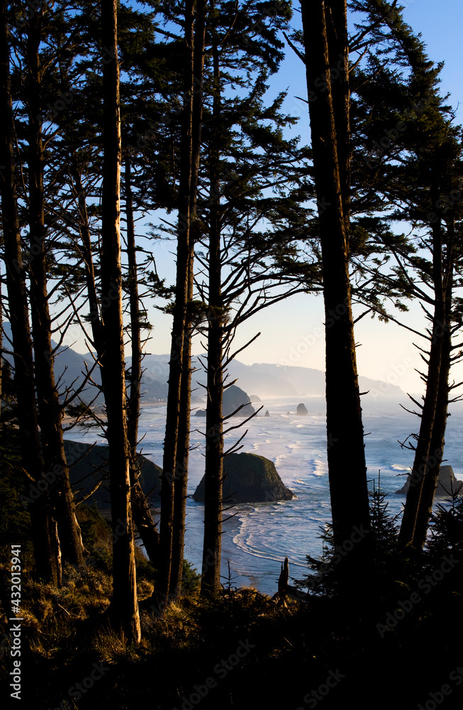 Looking toward Cannon Beach from the Oregon Coast Trail in Ecola State Park, Oregon. Looking toward Cannon Beach from the Oregon Coast Trail in Ecola State Park, Oregon.