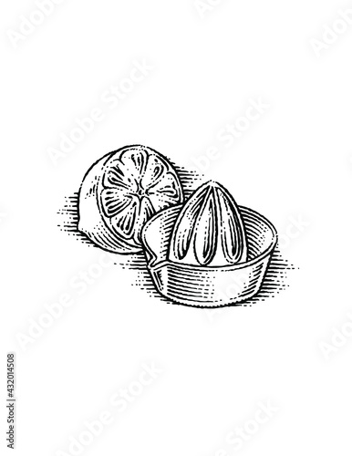 illustration of lemon and squeezer