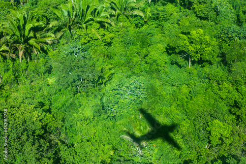 An aerial view of the shadow of a plane on tropical rainforest trees in Belize.