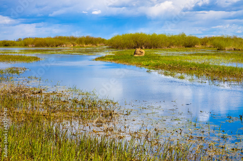 Early spring panoramic view of Biebrza river valley wetlands and nature reserve landscape in Burzyn village in Podlaskie voivodship in Poland