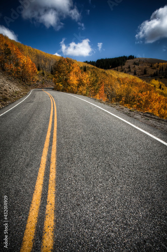Vibrant fall colors on the Guardsman Pass Road in the Wastach Mountain Range in Utah, near Brighton Ski Resort. photo