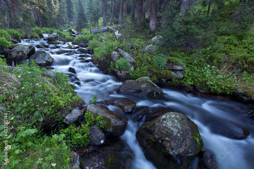 timber creek, Rocky Mountain National Park, CO photo
